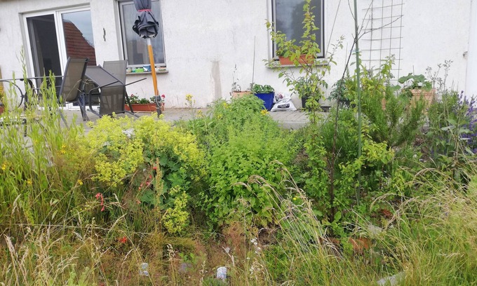 Korchow Appartement | Vacation apartment/apartment for 4 guests with 75m² in Wittenburg (144958)