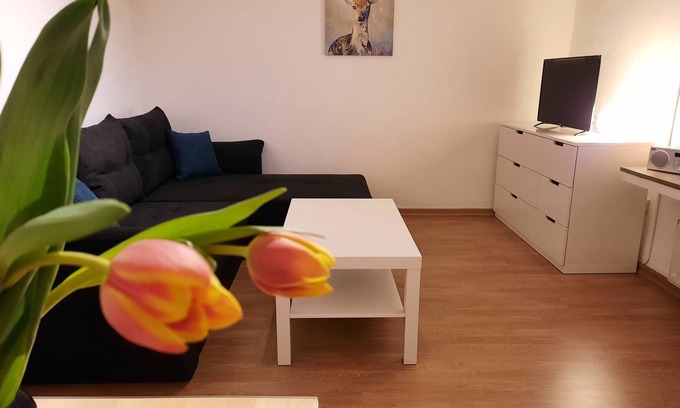 Nordhorn Appartement | Vacation apartment/apartment for 2 guests with 45m² in Nordhorn (185873)