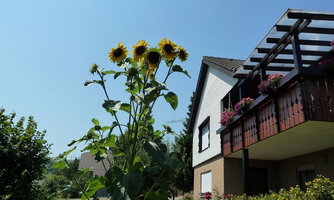 Weilheim Appartement | Appartement / app. pour 2 personnes à 35 m² à Weilheim (116856)