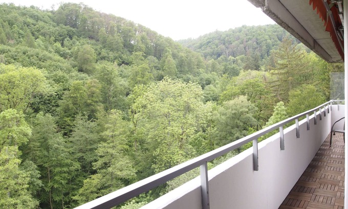 Bad Harzburg Appartement | Vacation apartment GrünWald