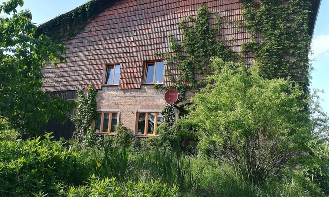 Dettmannsdorf Appartement | Appartement / app. pour 4 personnes à 40 m² à Dammerstorf (120572)