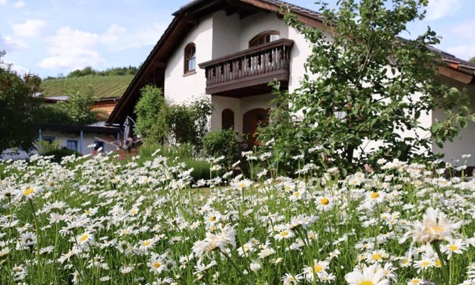Dorsheim Appartement | Vacation apartment Weinbergsliebe - Wonderful vacation apartment on the vineyard