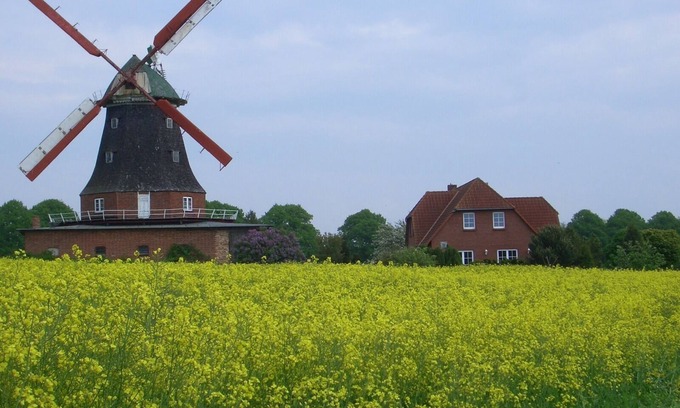 Neubukow Appartement | Appartement au moulin