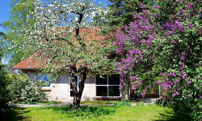 Basedow Maison | Vacation home Am Wald - Am Wald