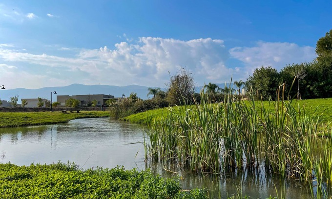 HaGoshrim Appartement | Vacation home at kibbutz Hagoshrim, 5 min walk the river