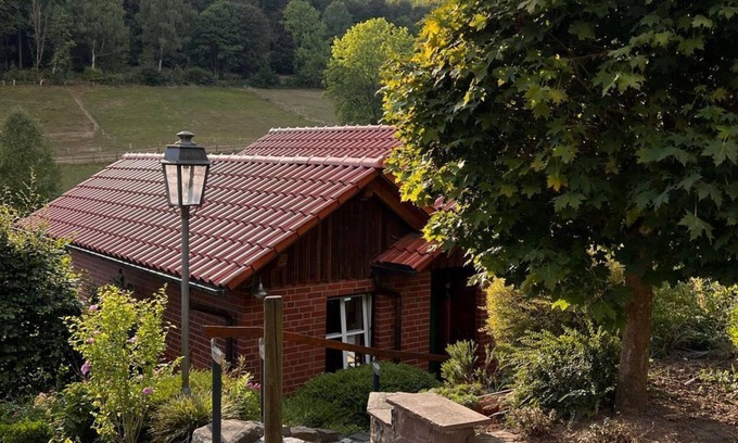 Solling Maison | Vacation home Buren-Hof - Holiday home, bathroom, WC