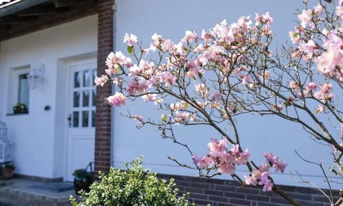 Osterode am Harz Maison | Vacation home Sleeping Beauty
