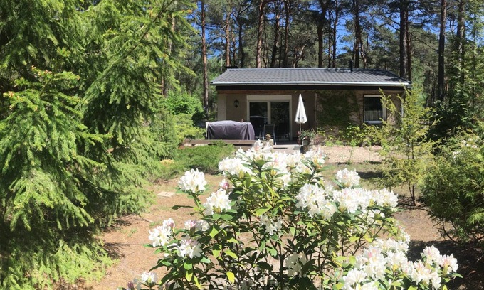 Gross Koeris Maison | Vacation home forest and lake idyll near bathing lakes, Spreewald and Berlin
