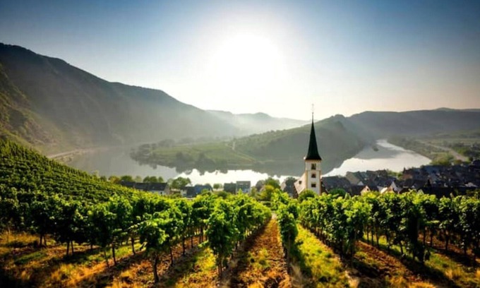 Klotten Appartement | Vacation home Moselzeit in Klotten near Cochem