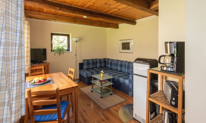 Burg-Dorf Appartement | Vacation home, sleeping loft, 1 bedroom/kitchenette, shower/WC (from 12 yrs.) - Froschkönig vacation home and