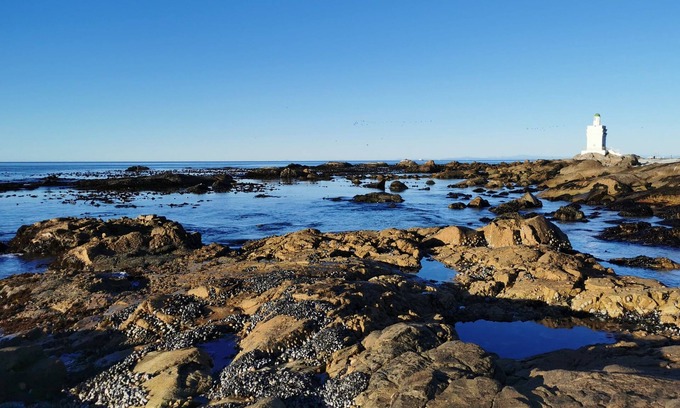 Shelley Point Maison | Vacation home with ocean views - 5mins from the beach!