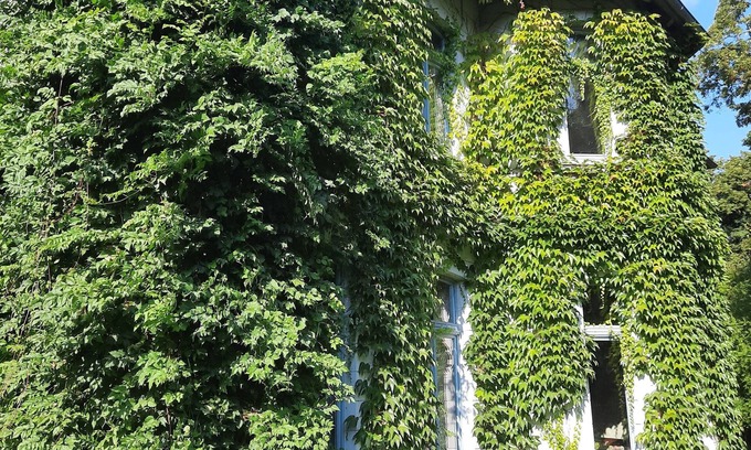 Altkalen Appartement | Vacations at the Gutshof Alt-Pannekow (with spa area)-Dogs welcome (max. 4P)