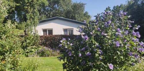 De Cocksdorp Maison | Vakantiebungalow Texel