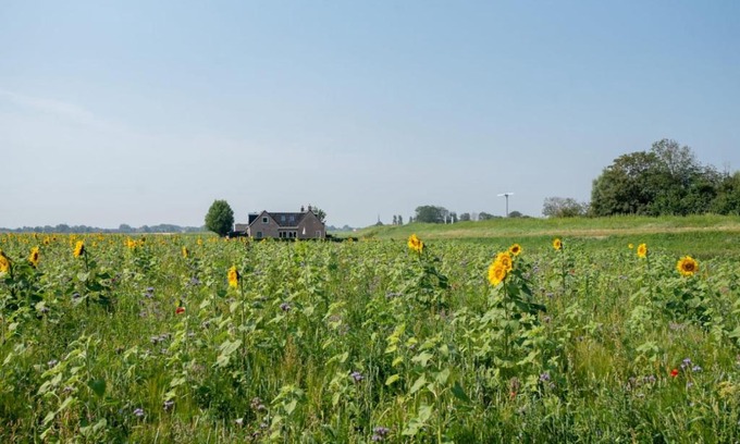 Holwerd Maison | Vakantiewoning Oer it fjild