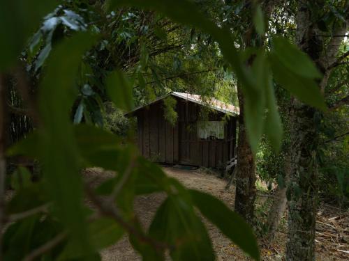 Copey Maison | Valchi Hospedaje de Montaña