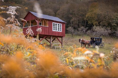 Cund Hôtel | Valea Verde Retreat Transilvania