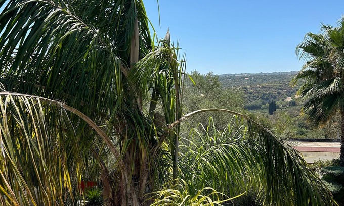 Miliou Villa | Villa en pierre traditionnelle «Valencia Grove» avec piscine