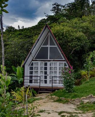 Cuispes Autre | Valle Yumbilla Yacu