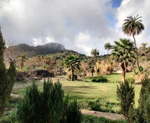 Mount Abu Maison | Valley Nest for 6-12 PAX