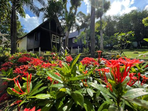 Bai Lan Station Balnéaire | Vanara Bungalows