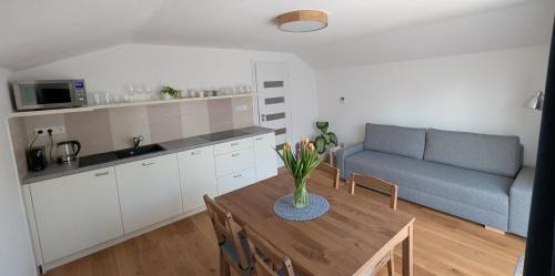 Nove Mesto na Morave Appartement | Vejminek NMNM