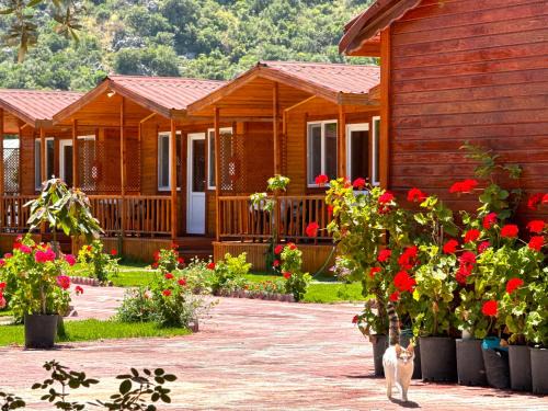 Adrasan Autre | Venüs Gold Bungalov Adrasan