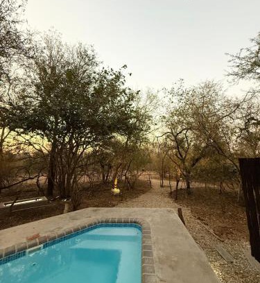 Marloth Park Maison | Veni Vidi Amavi Luxury Safari Treehouse