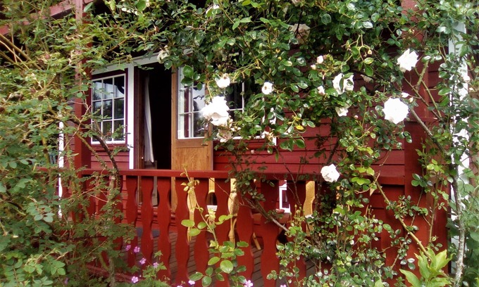 Brekendorf Maison | cabane en rondins scandinave confortable dans un endroit calme sur un grand terrain