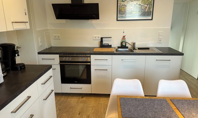 Biebesheim am Rhein Appartement | Very large apartment on two floors, fully equipped, with lounge/living room