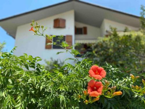 Mondolfo Appartement | Via Verdi 14