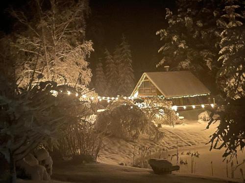 Mikeltornis Chalet De Ski | Viesu Nams “Noras”