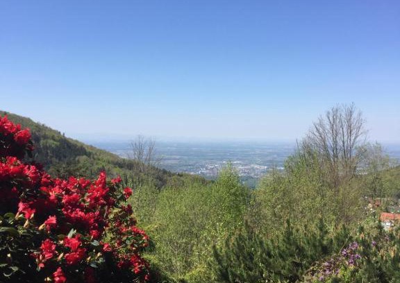Sasbachwalden Appartement | View from the Rock