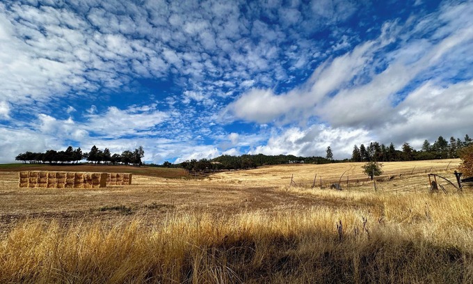Medford Maison | VIEWS -Wineries-Gated -Garden-Fruit Trees-Rogue X