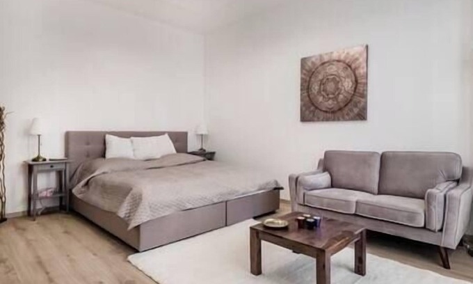 Vizivaros Appartement | Viktoria design studio apartment with A/C