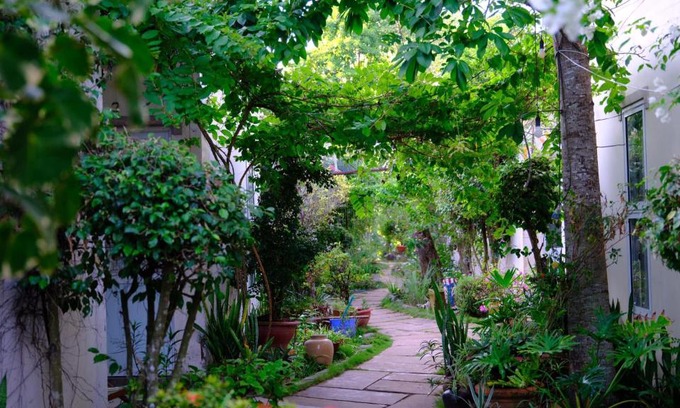 Cang Long Maison | Vila Basi