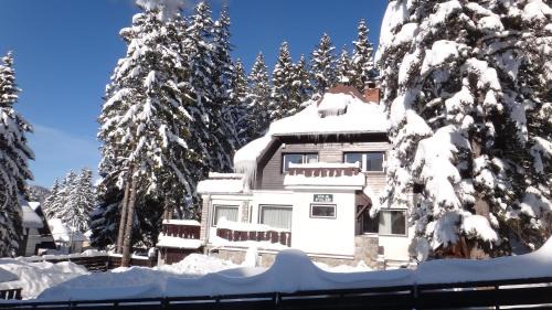 Cioplea Chalet De Ski | Vila Filip