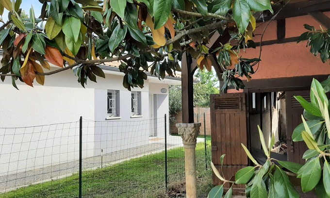 Pontenx-les-Forges Maison | Villa 6 personnes avec piscine proche de Mimizan