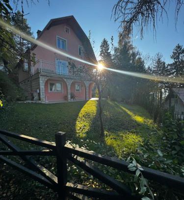 Hadzici Villa | Villa Aida Sarajevo
