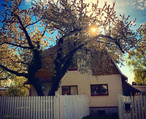 Visby Maison | Villa Betty