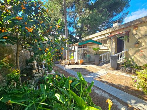 La Franqui Maison | Villa des cèdres La Franqui