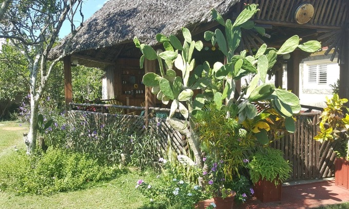 La Palma Maison | Villa Don Jose Otano y Maria