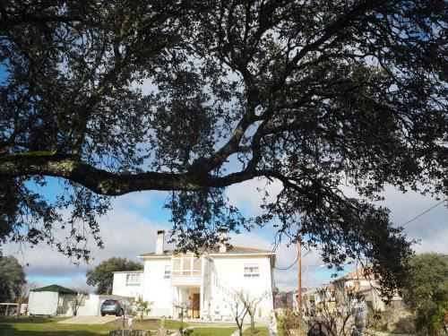 Moralina Maison | Villa Entre Encinas
