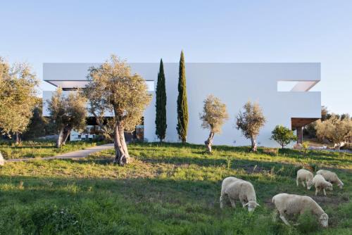 Arraiolos Maison | Villa Extramuros