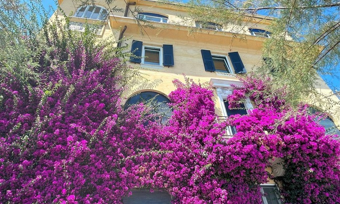 Cinque Terre Appartement | Villa Ferrer Best view of the sea and the 5terre