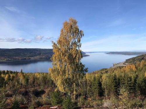 Hurdal Municipality Villa | Villa Fjara sleeps 22 in 6 bedrooms