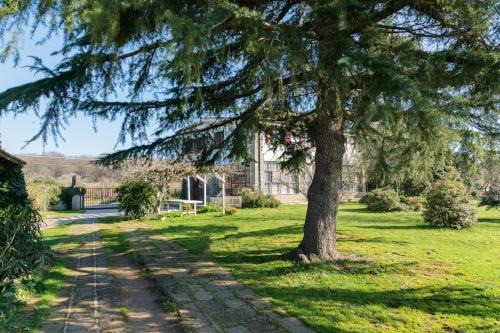 Manziana Villa | Villa immersed in green Isola dei Cavalli