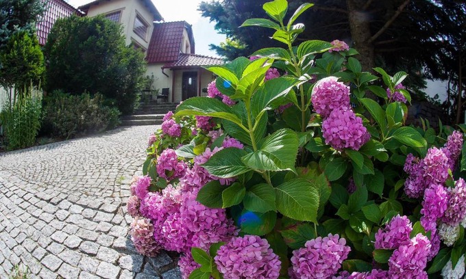 Zielona Gora Maison | Villa Jaśmin