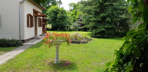 Nyiregyhaza Villa | Villa Jare I