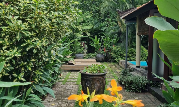Lovina Villa | Villa Jati - Classy poolside villa, central Lovina
