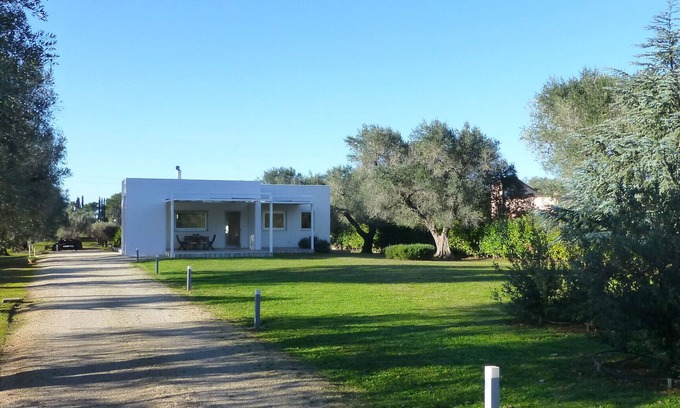 Mesagne Villa | Villa L'Ulivo Maître
